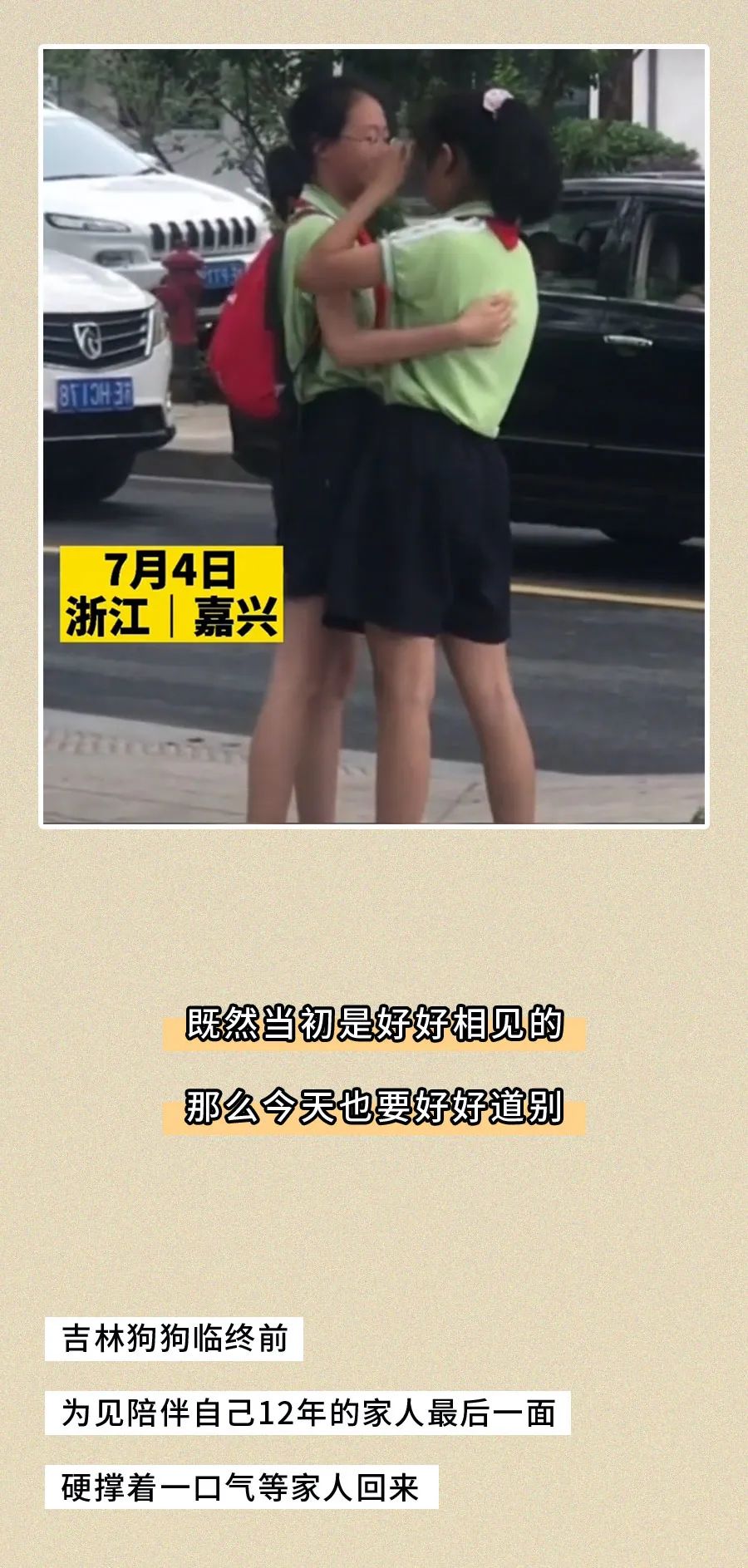 【转】上飞机前，我没想到这是最后一面[16P] 今日图说 第11张