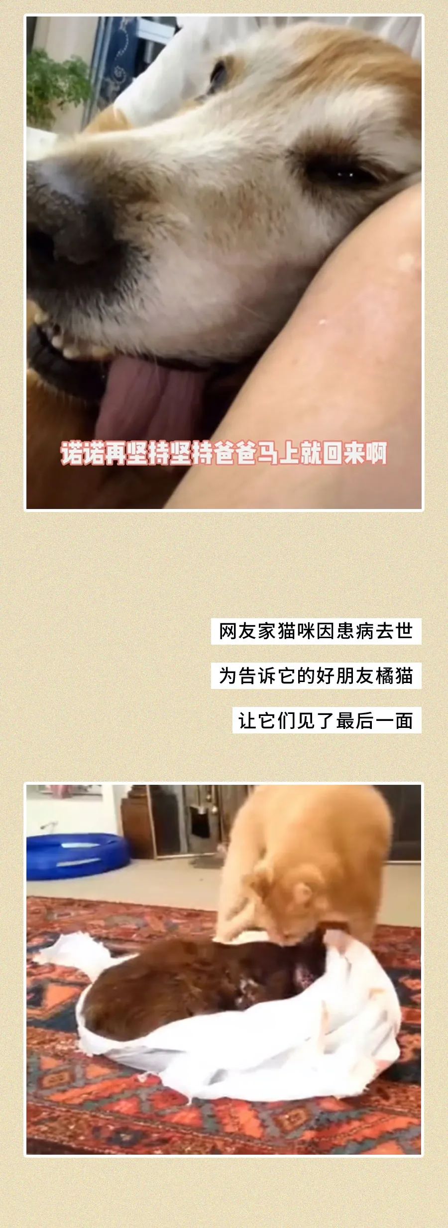 【转】上飞机前，我没想到这是最后一面[16P] 今日图说 第12张